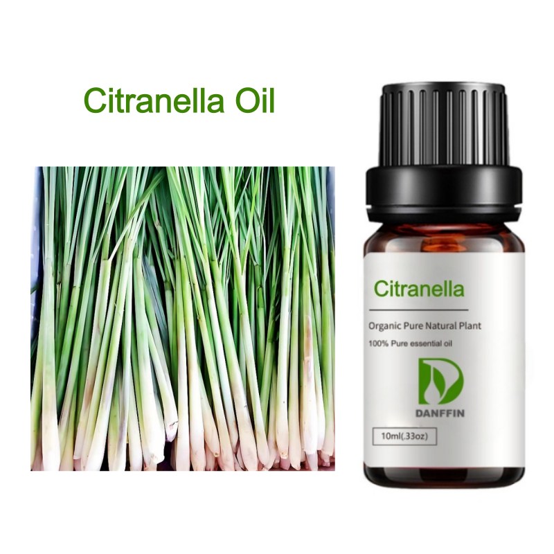 Citranella Oil