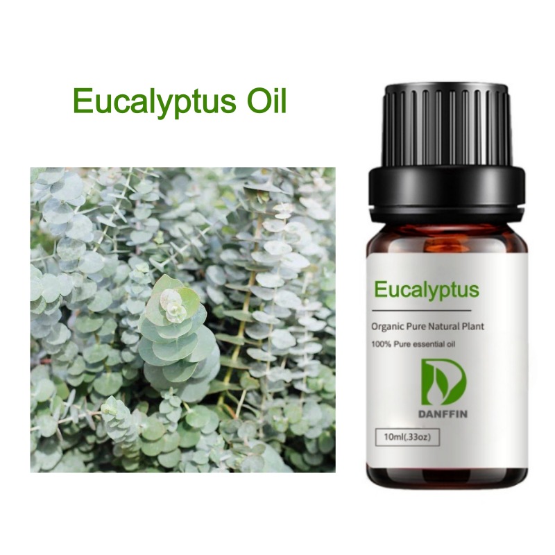 Eucalyptus Oil