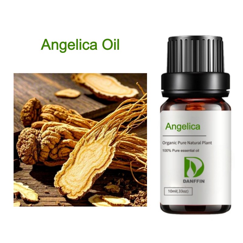 Angelica Oil