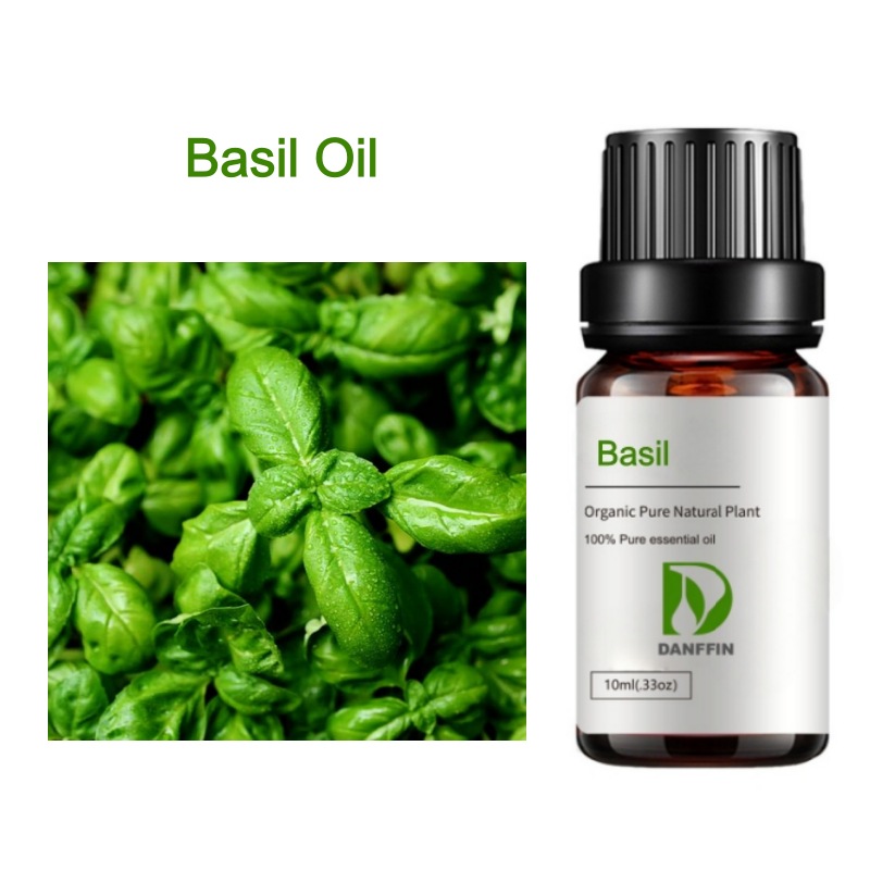 Basil Oil
