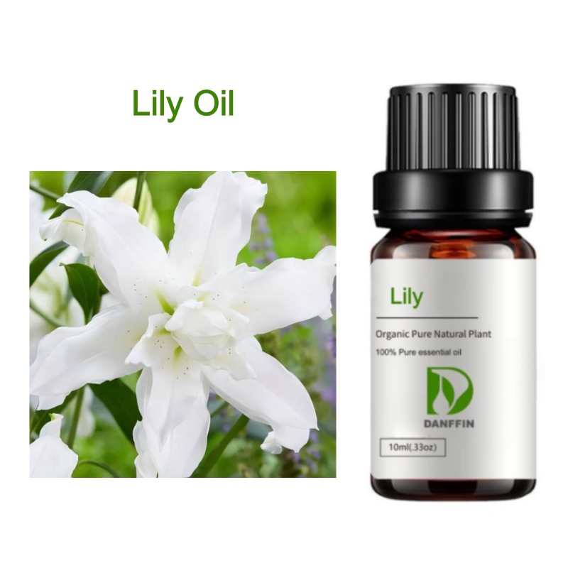 Lily Oil
