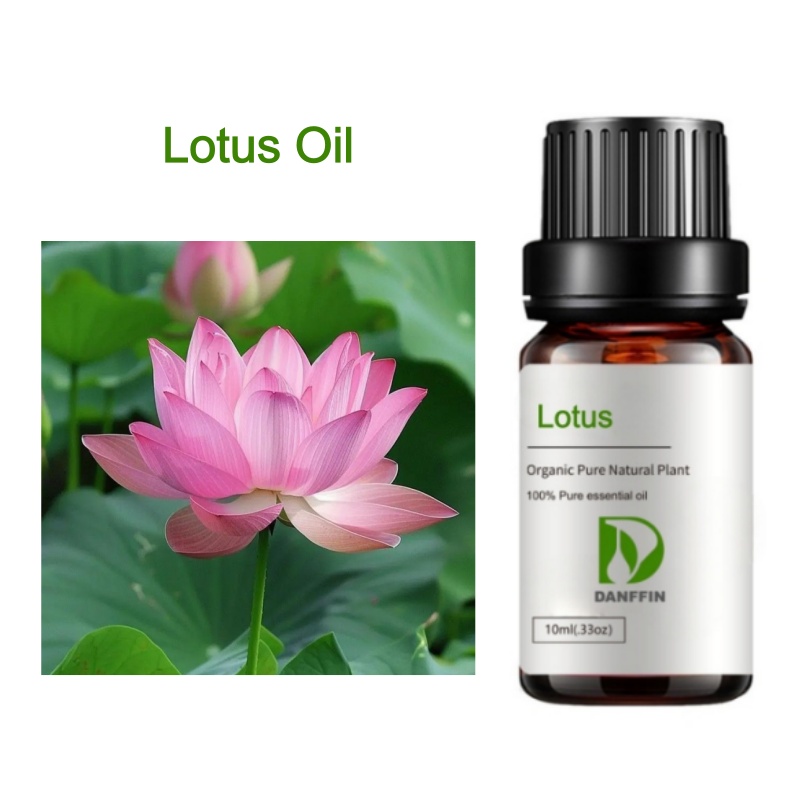 Lotus Oil
