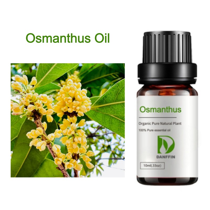 Osmanthus Oil