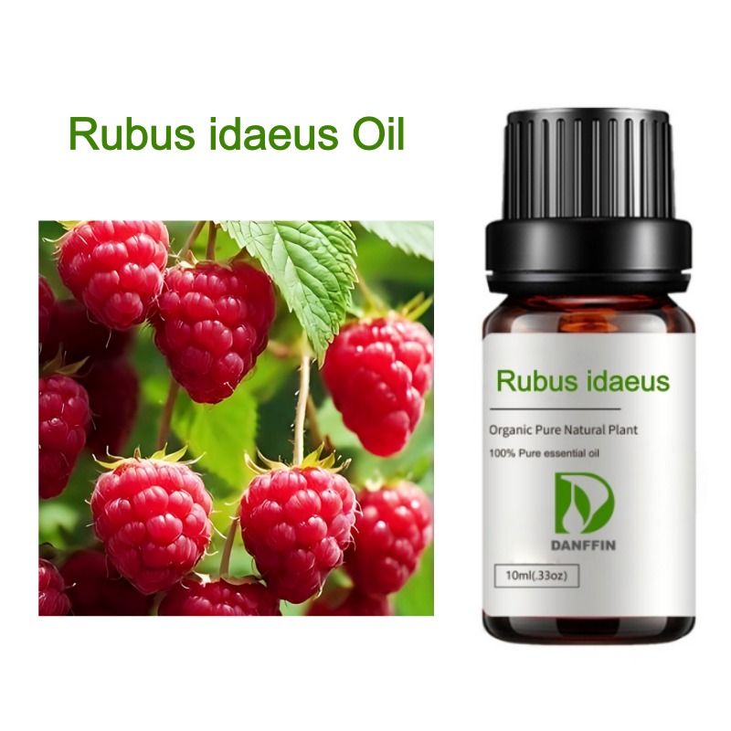 Rubus idaeus Oil