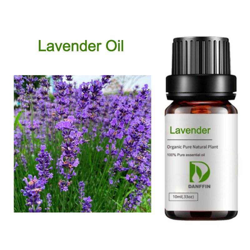 Lavender Oil