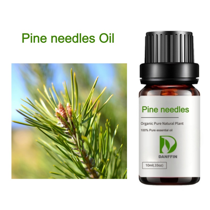 Pine needles Oil