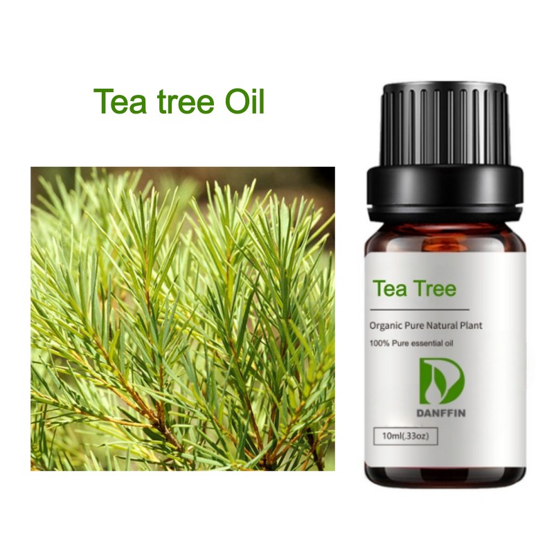 Tea tree Oil
