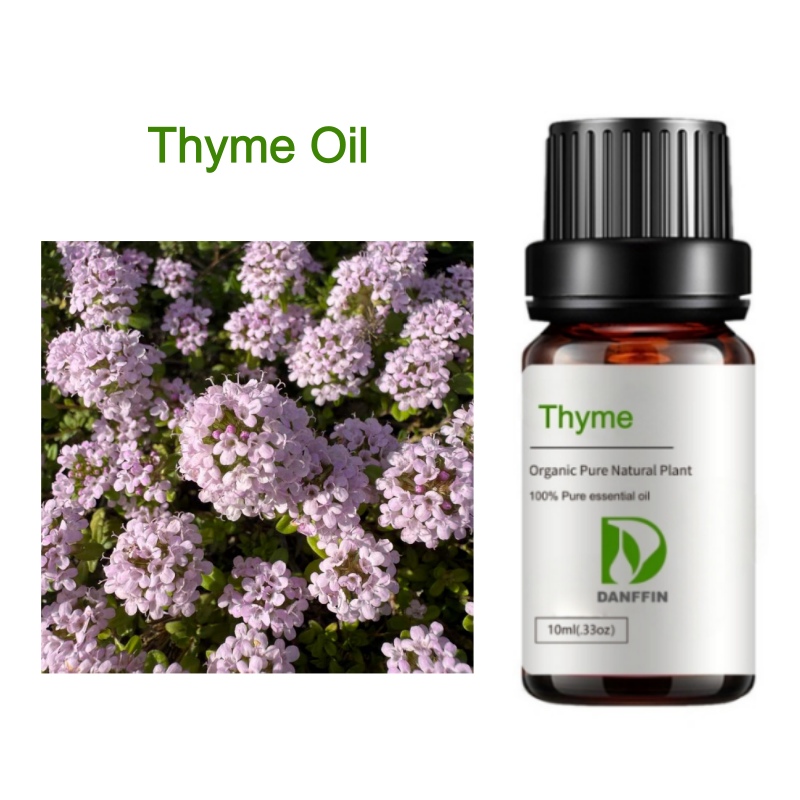Thyme Oil