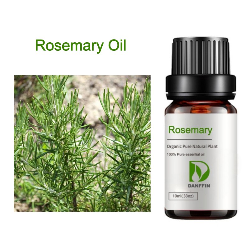Rosemary Oil