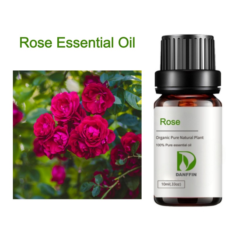 Rose Essential Oil