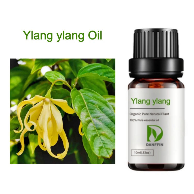 Ylang Ylang Oil