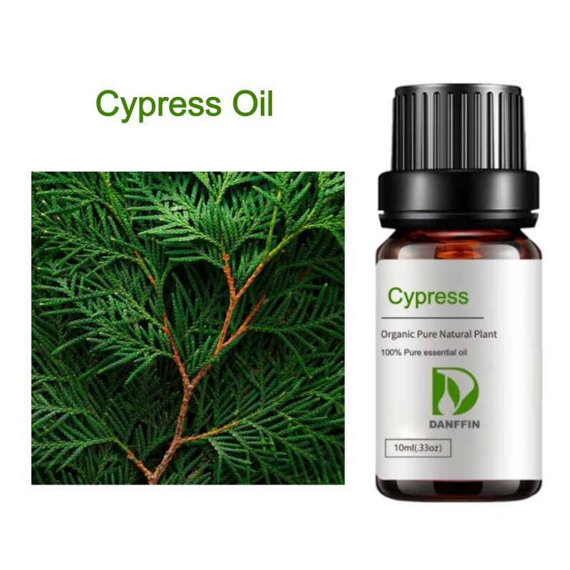 Cypress Oil