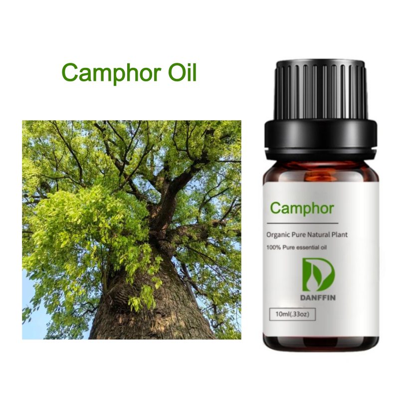 Camphor Oil